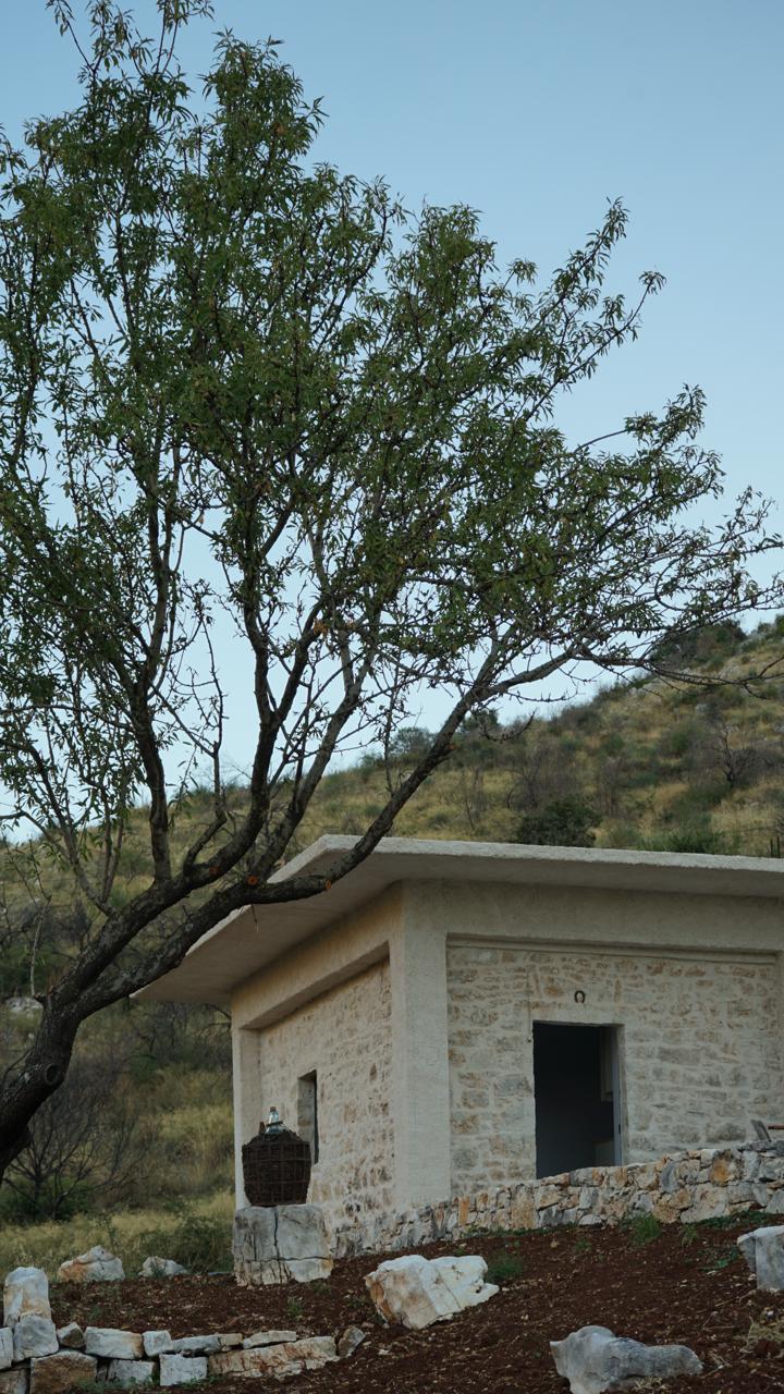 The white stone winery building with a tree leaning across its roofline, a wicker demijohn by the doorway