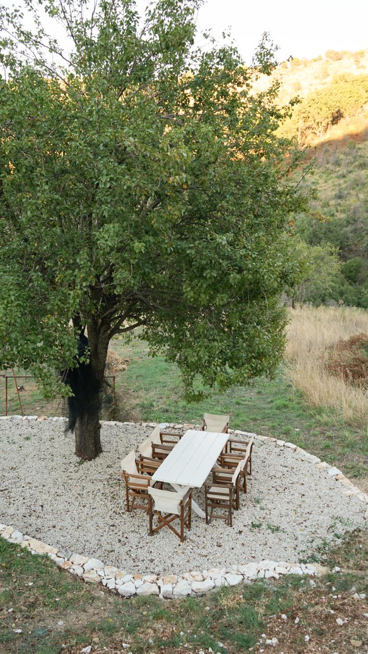 The dining circle seen from above, the white pebble round beneath the tree and the hillside turning gold behind